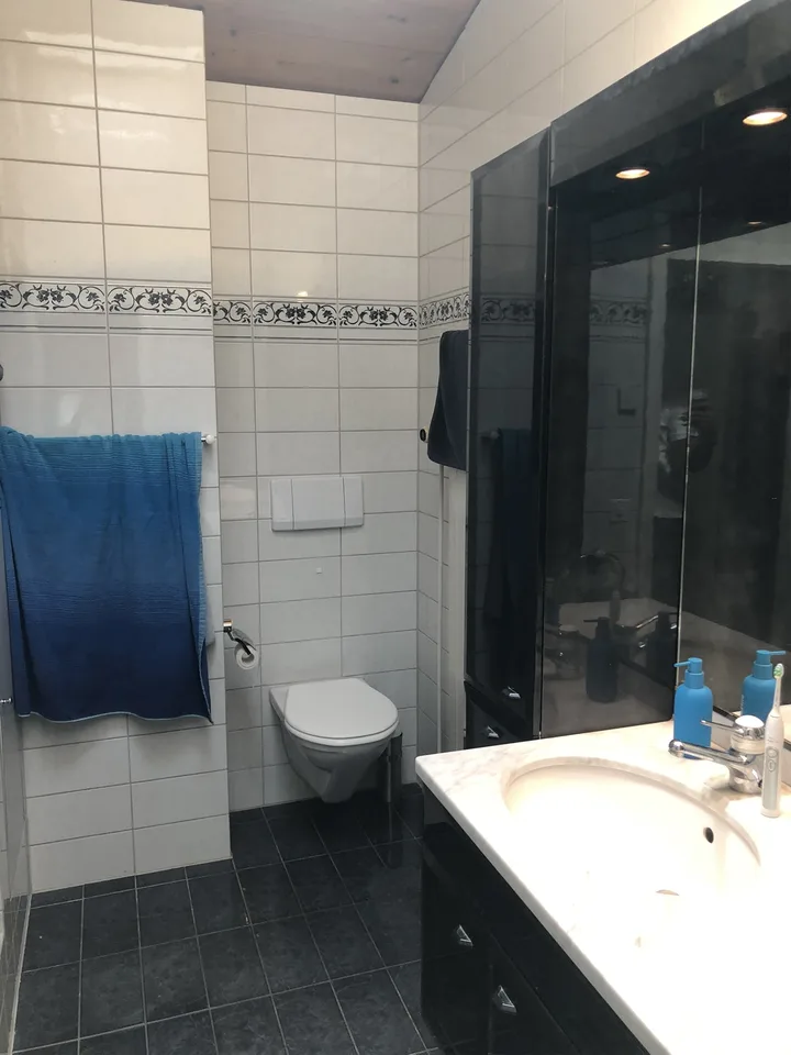 Dachwohnung mit Terrasse & Wintergarten – foto 9 di 16