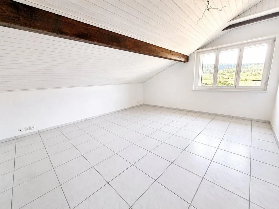 Appartement en mansarde de 3 pièces confortable