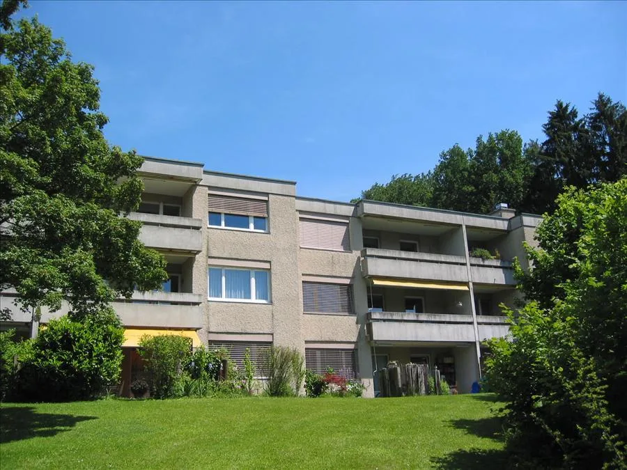 Sanierte Attikawohnung mit grosser Terrasse an bester Lage in Adliswil
