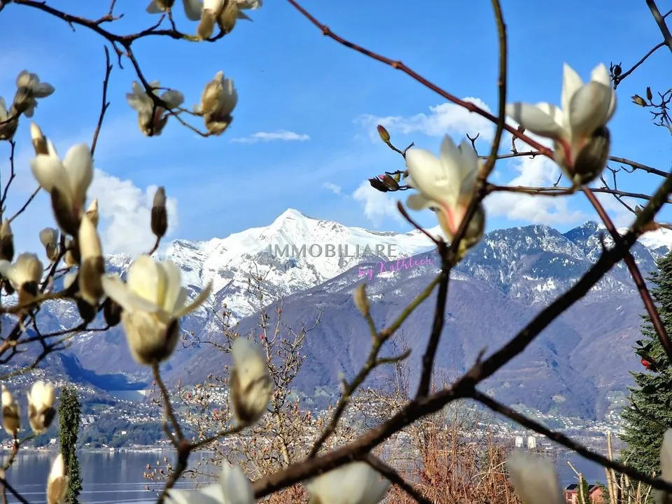 Attika auf 2 Etagen mit Panorma-Seeblick und Garte, eigene Wärmepumpe – foto 6 di 16