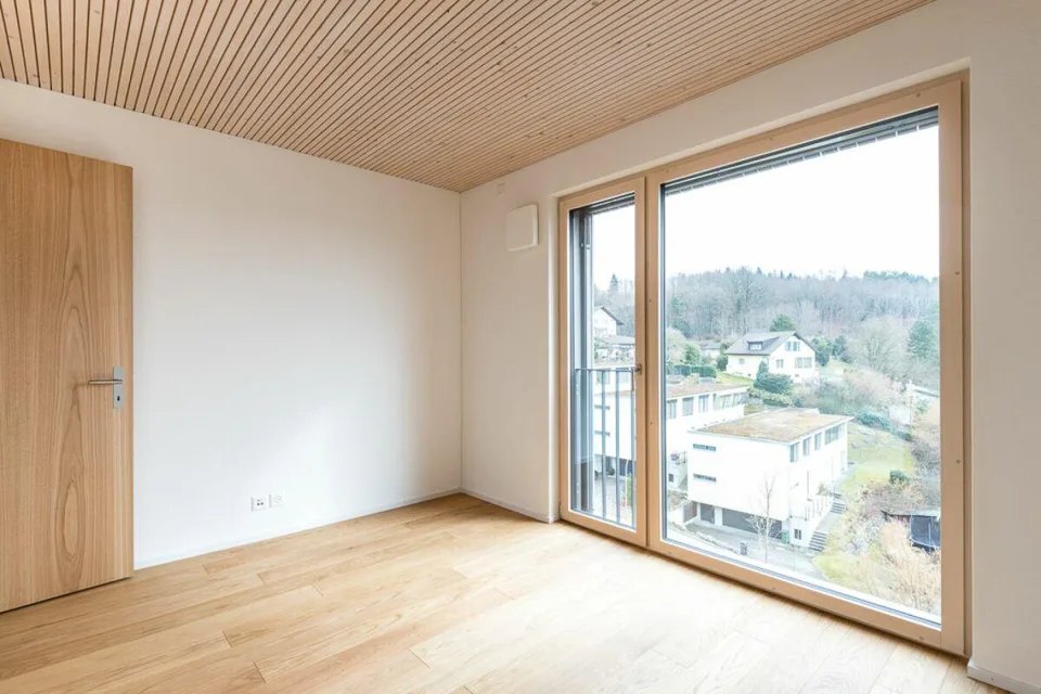 3.5 Attic Apartment with Unobstructed Long-Distance View