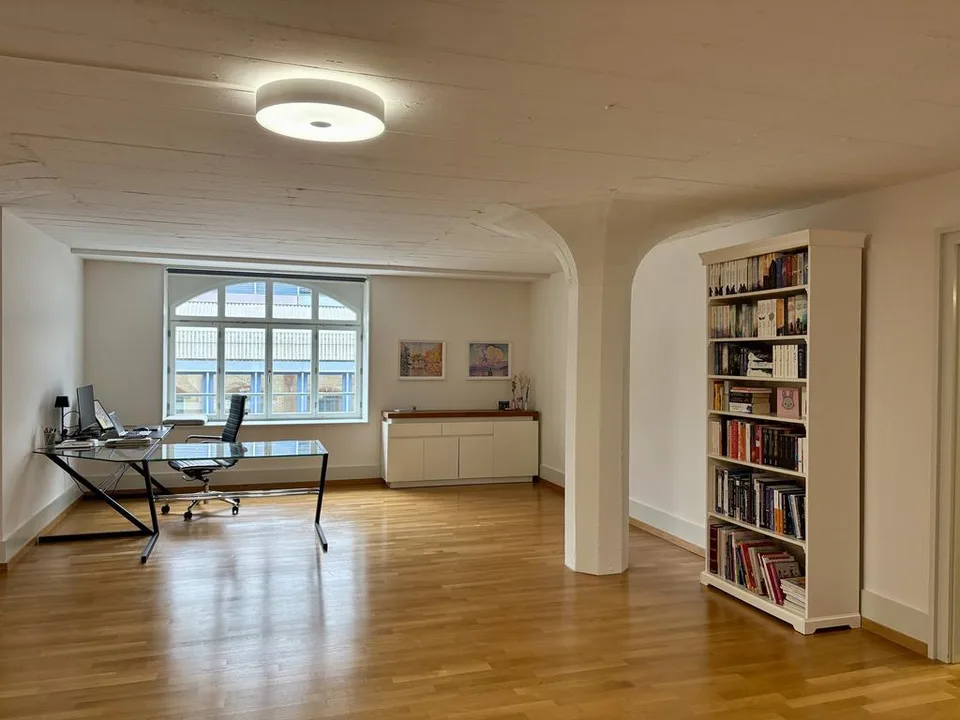 Charmante Loftwohnung beim Sihl City