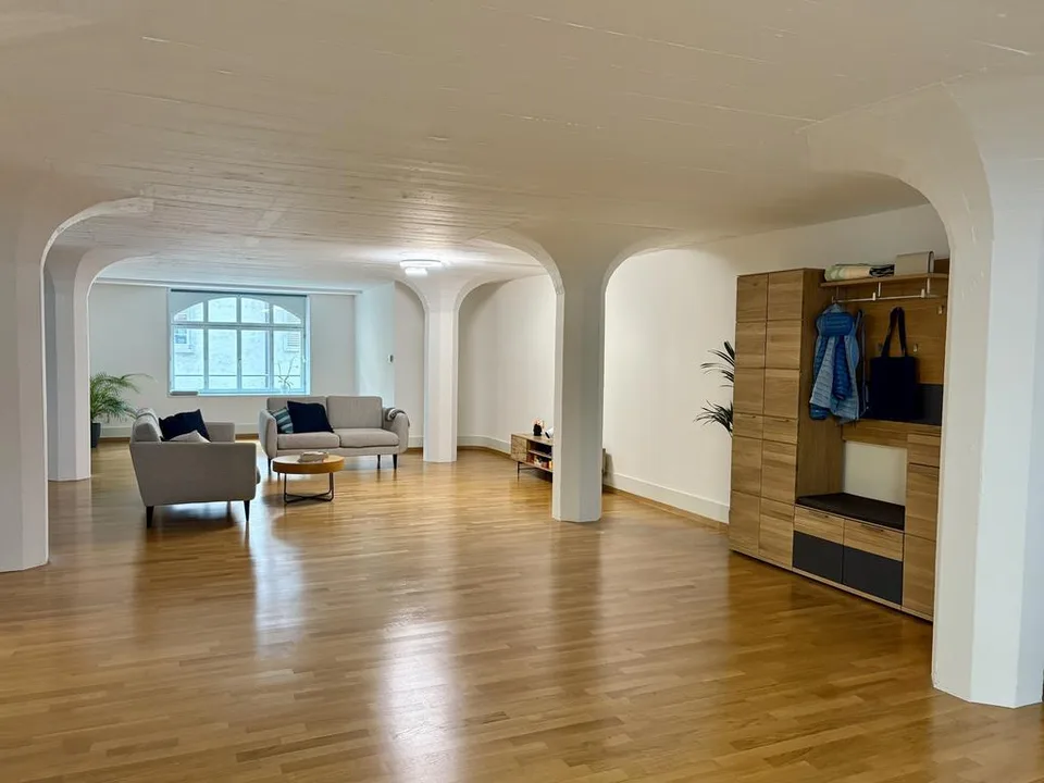 Charmante Loftwohnung beim Sihl City