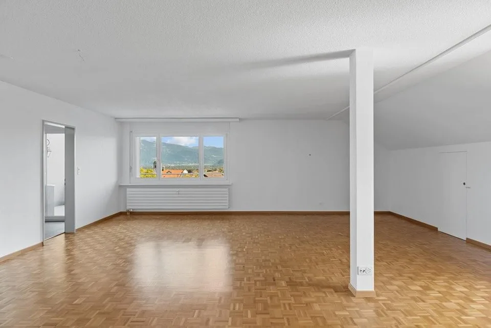 Appartement avec vue sur la vallée du Rhin