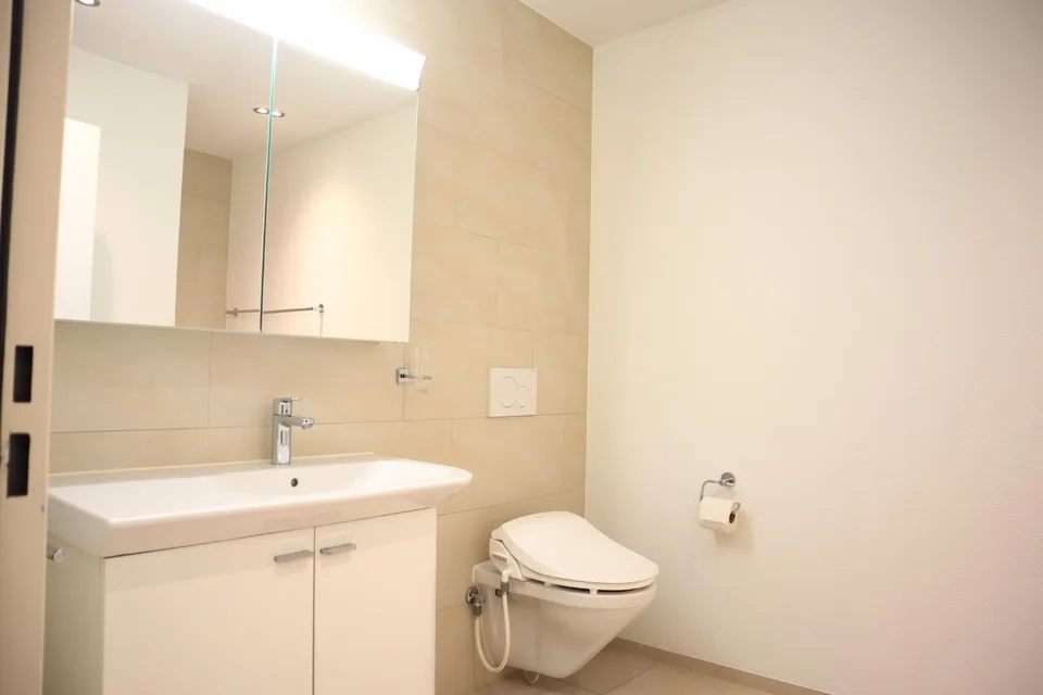 Edle 5.5-Zimmer-Terrassenwohnung in Pfeffingen – Foto 8 von 18