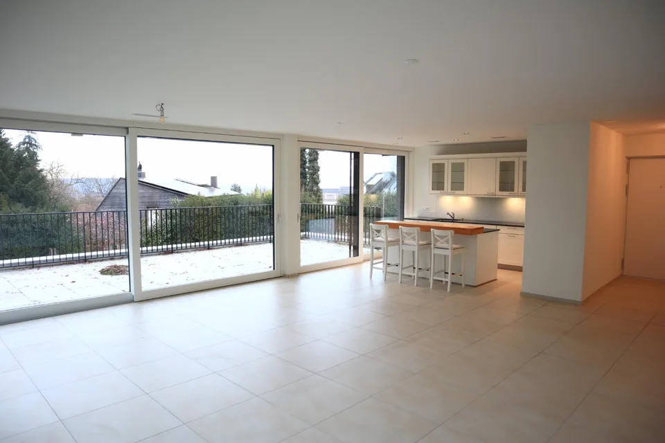 Elegante appartamento terrazza di 5,5 locali a Pfeffingen