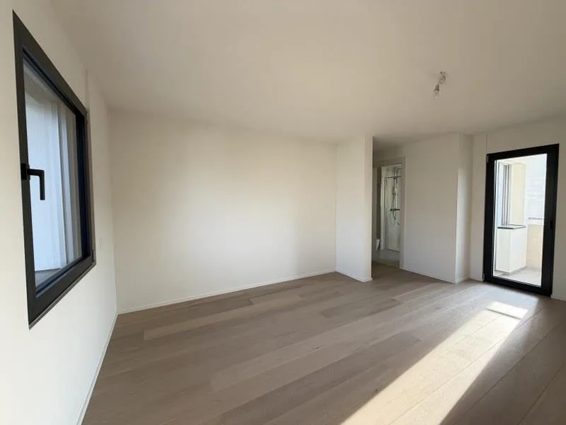 ATTIC APARTMENT 4.5 ROOMS WITH LAKE VIEW IN ELEGANT BUILDING – photo 13 of 13