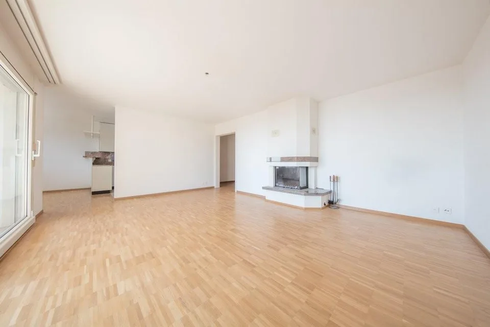 Occasione unica! Bellissimo appartamento con vista sul lago!