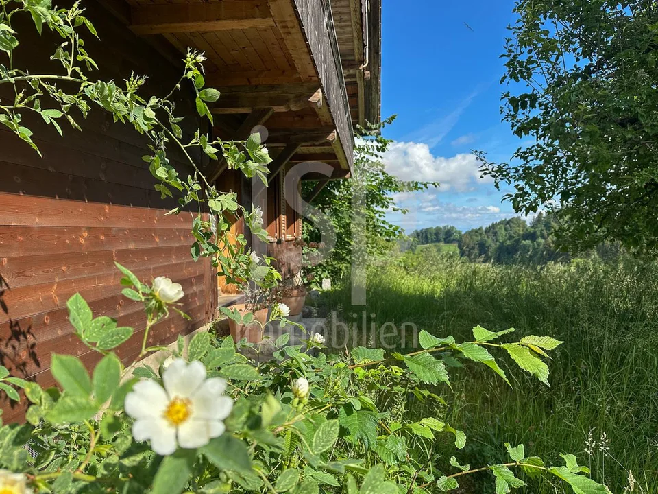 Gepflegtes Bauernhaus mit 3'397m2 Grundstück