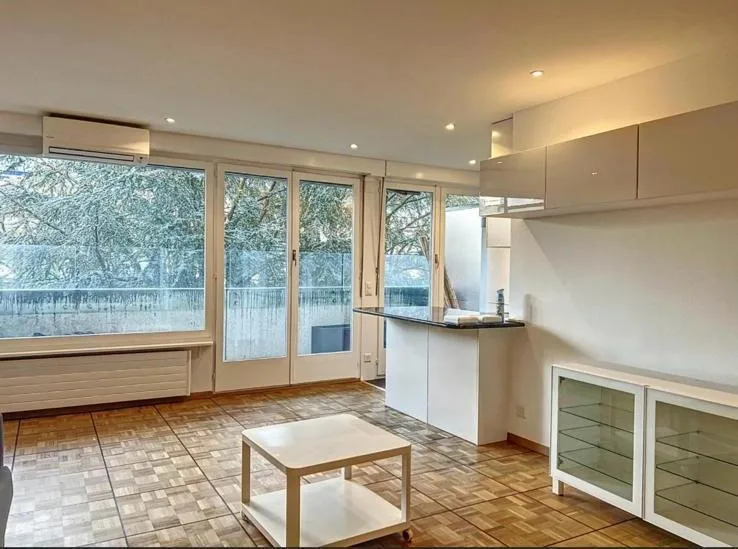 Wunderschöne 1,5-Zimmer-Wohnung mit Balkon und privatem Pool - Genf, Champel