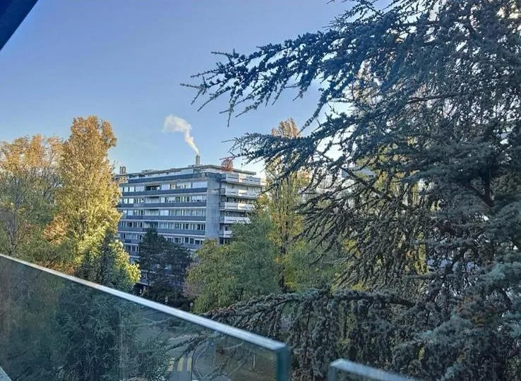 Wunderschöne 1,5-Zimmer-Wohnung mit Balkon und privatem Pool - Genf, Champel