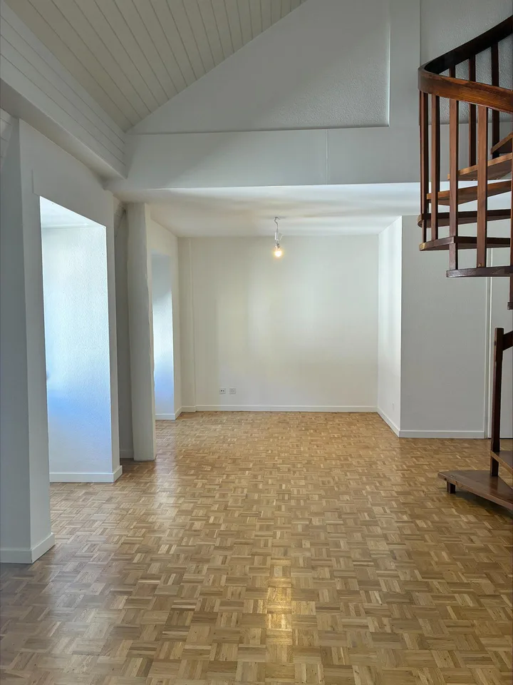Appartement duplex à Plainpalais