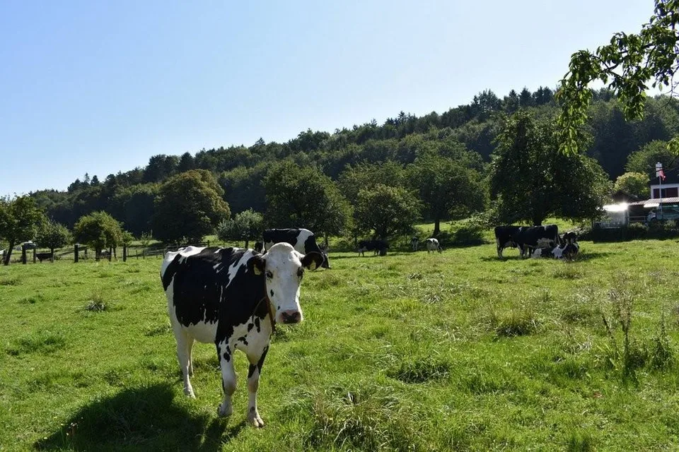Godere della campagna in modo idilliaco e accessibile
