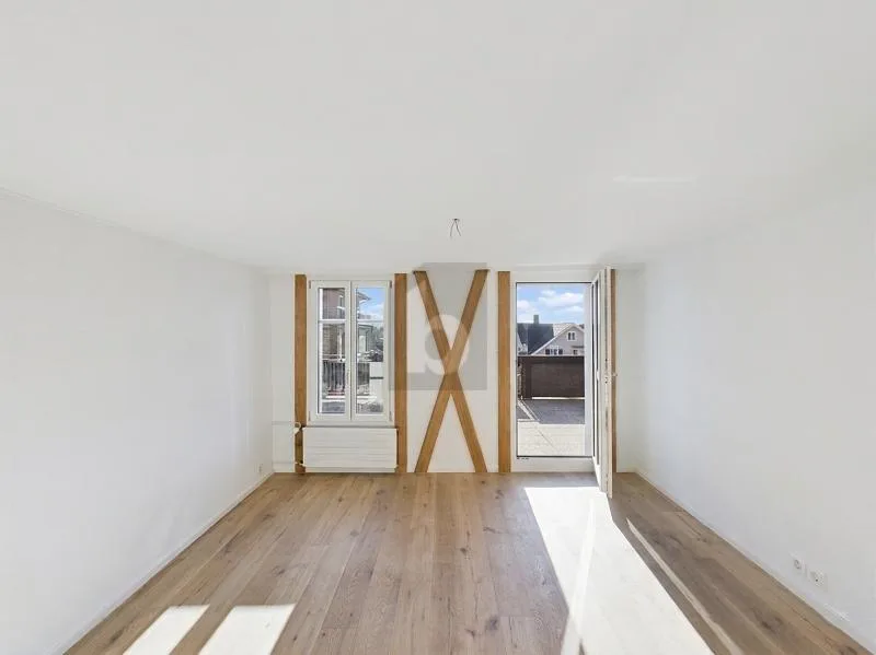 CENTRALE AVEC TERRASSE SUR LE TOIT ET JARDIN