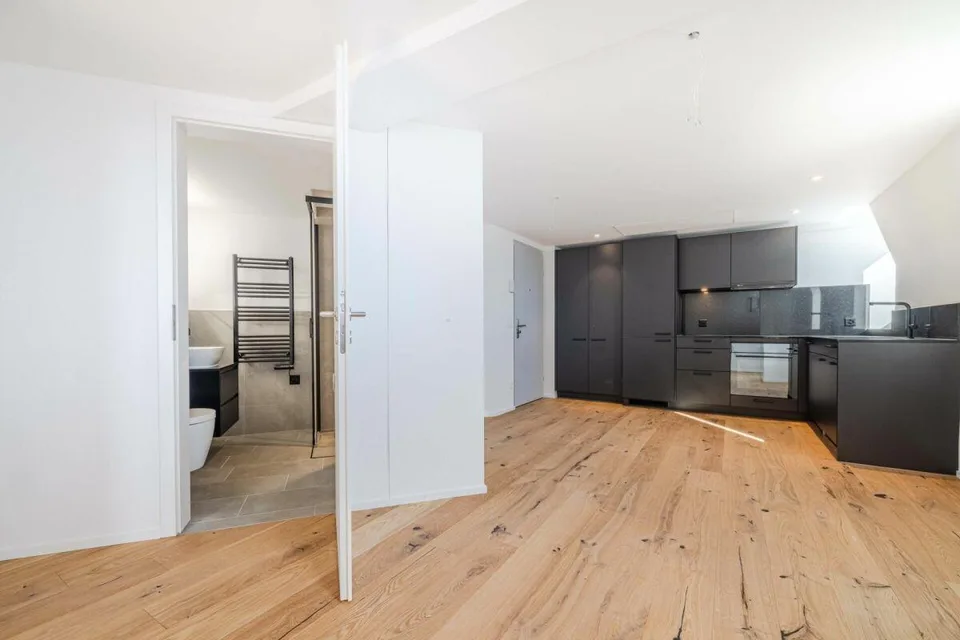 3.5-Zimmer Wohnung mit modernem Ausbaustandard und einzigartiger Da...
