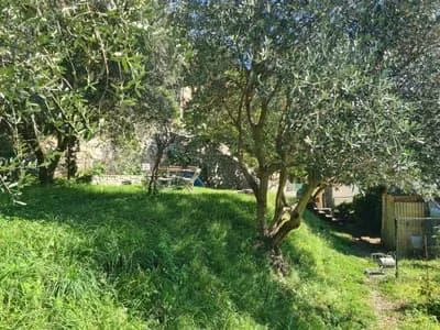 Appartamento di charme con giardino e vista lago – photo 22 sur 24