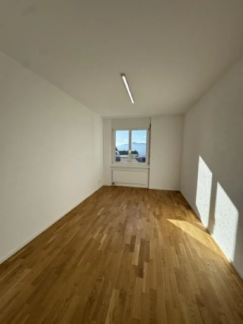 Appartement 4.5 pièces récemment rénové à Zurich-Höngg avec vue attrayante