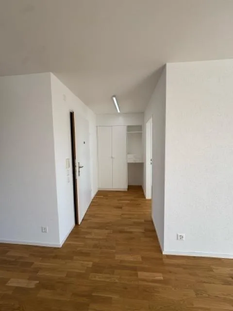 Appartement 4.5 pièces récemment rénové à Zurich-Höngg avec vue attrayante