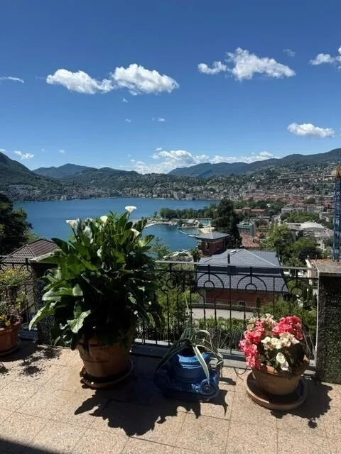 Ruvigliana: Wohnung mit herrlichem Seeblick & Schwimmbad zu verkaufen – Foto 8 von 20