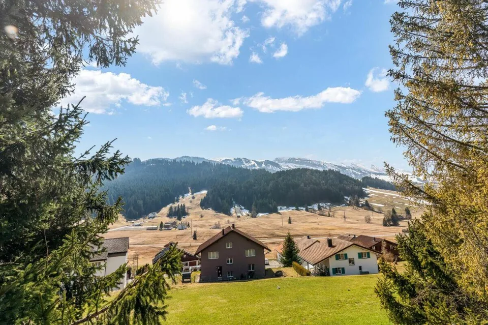 Wohnen mit Bergsicht in Wildhaus