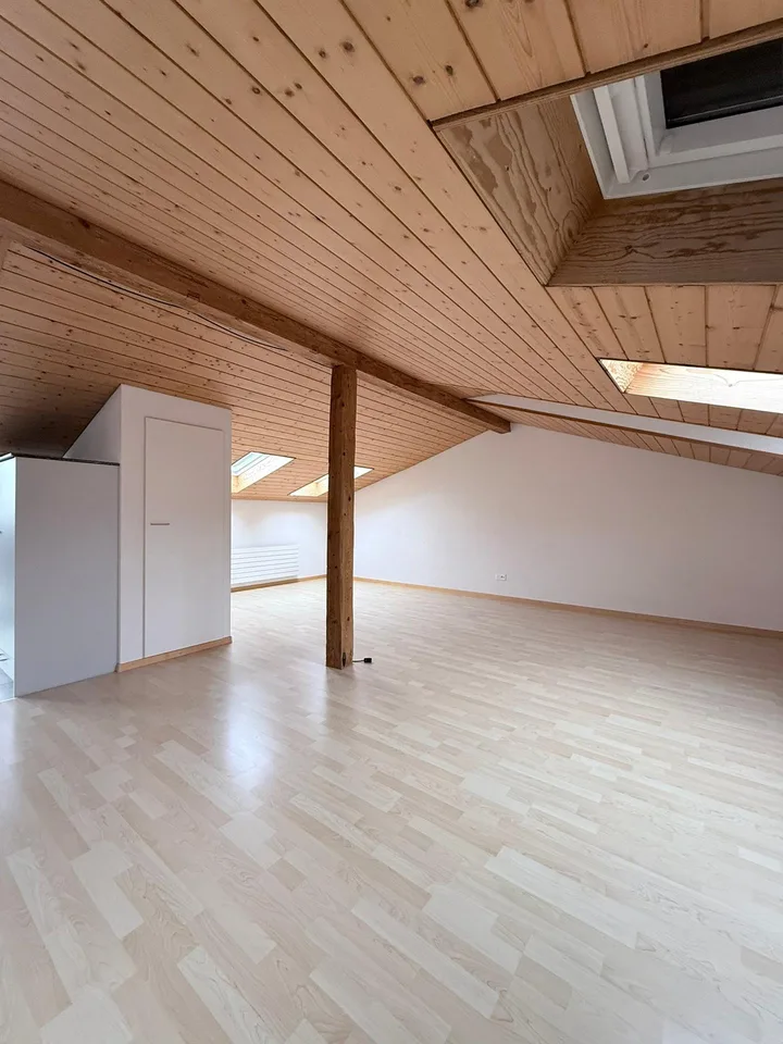 Living above the roofs of Breitenrain