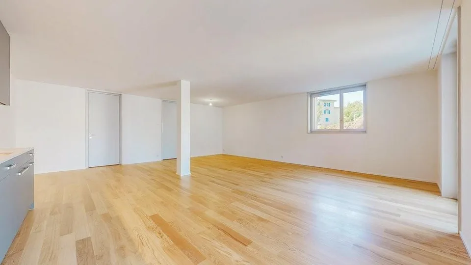 1 ½ Zimmer-Studio, 8051 Zürich