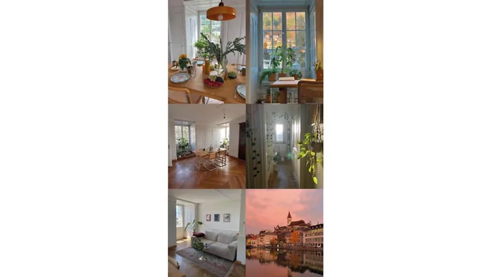 3½ ZI-WOHNUNG IN THUN (BE), MÖBLIERT, TEMPORÄR