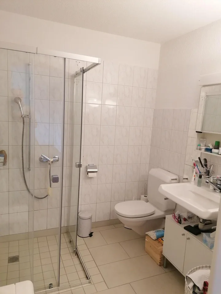 Appartement de 1 pièce situé au calme au cœur de Beringen