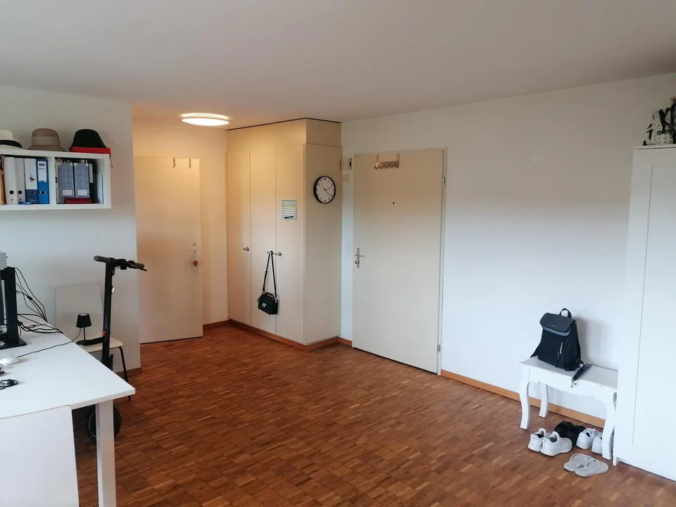 Appartement de 1 pièce situé au calme au cœur de Beringen