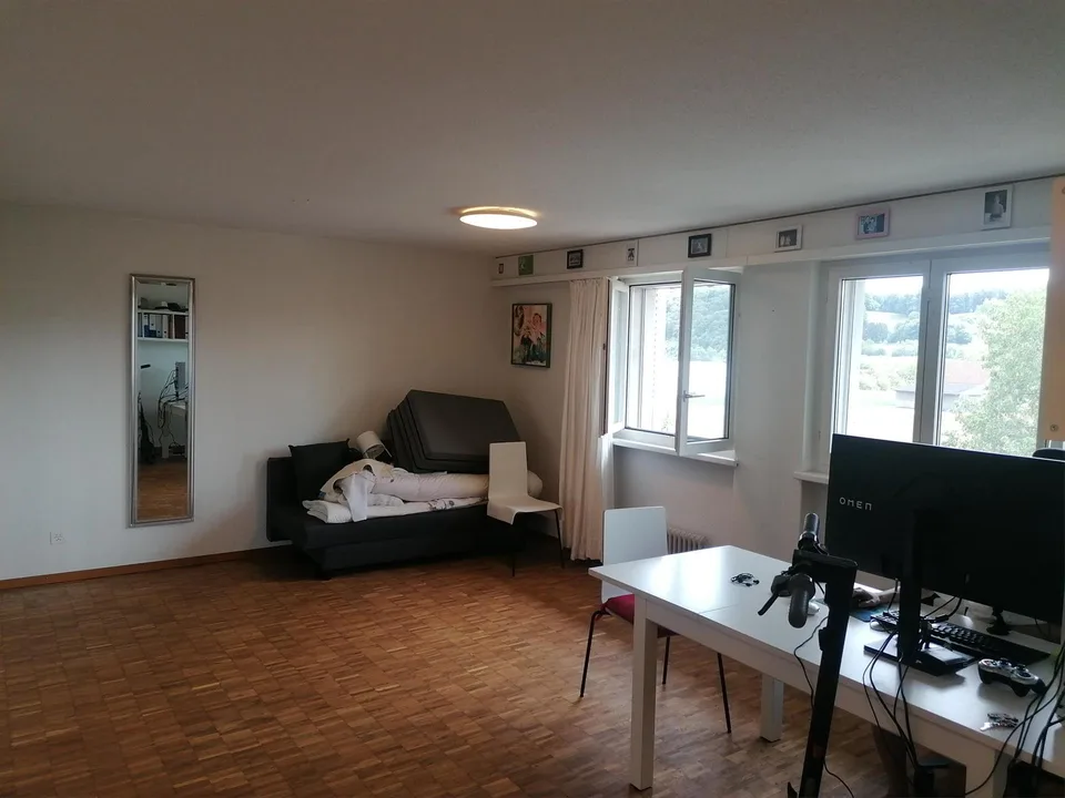 Appartement de 1 pièce situé au calme au cœur de Beringen