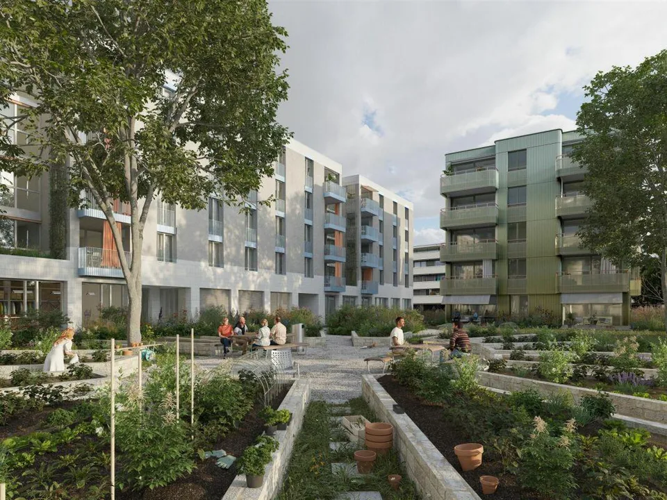 Neubau 1.5 Zimmerwohnungen - Nachhaltig sowie modernes Wohnkonzept