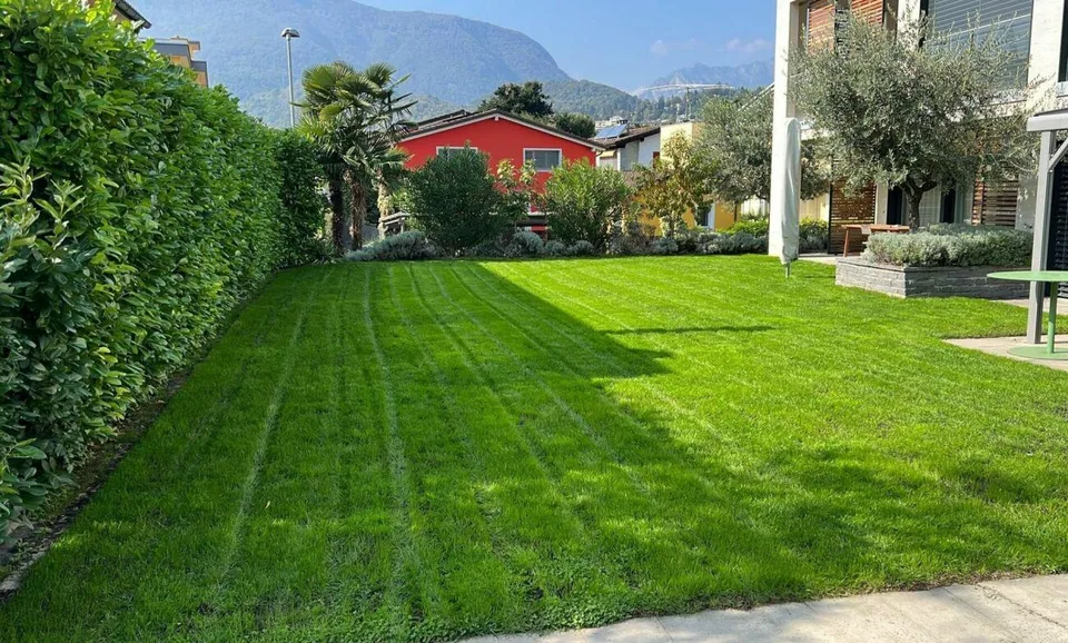 Ascona - Residenza Bella Vita – foto 7 di 7