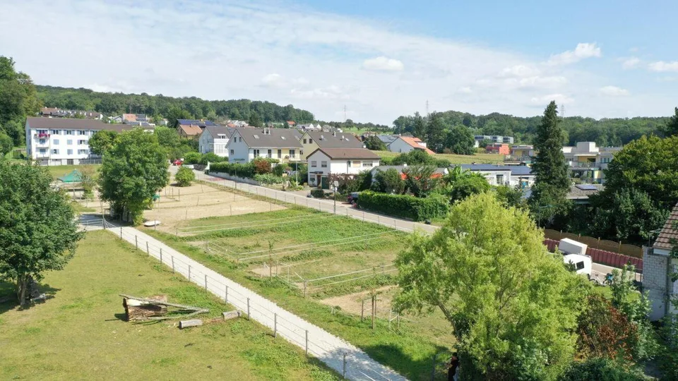 Sonnige 4.5 Zimmer Neubauwohnung mit Wintergarten – Foto 8 von 8