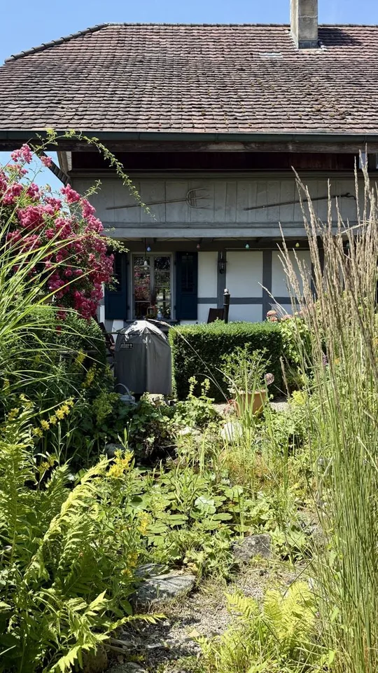 Casa a travi meravigliosa con laboratorio e riserva di terreno edificabile