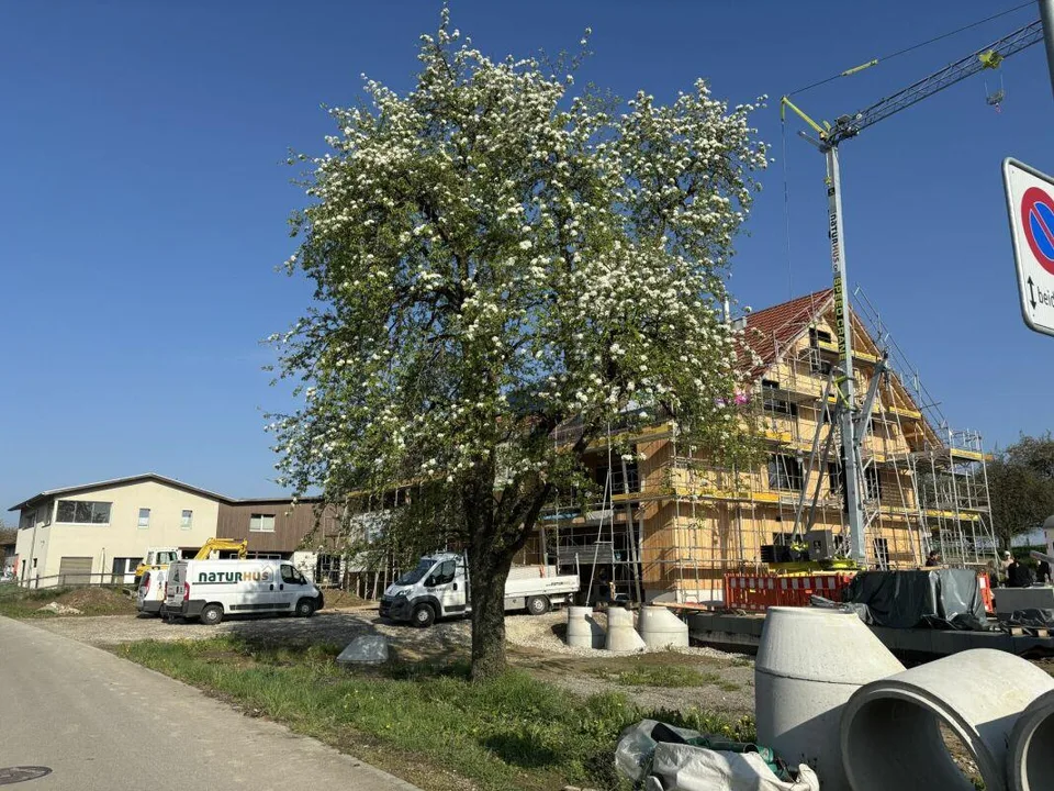 Überbauung Sunnegg - Wohntraum in Holz100