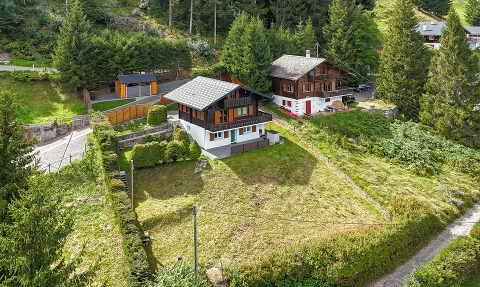 Magnifique chalet et son studio privé - Les Giettes