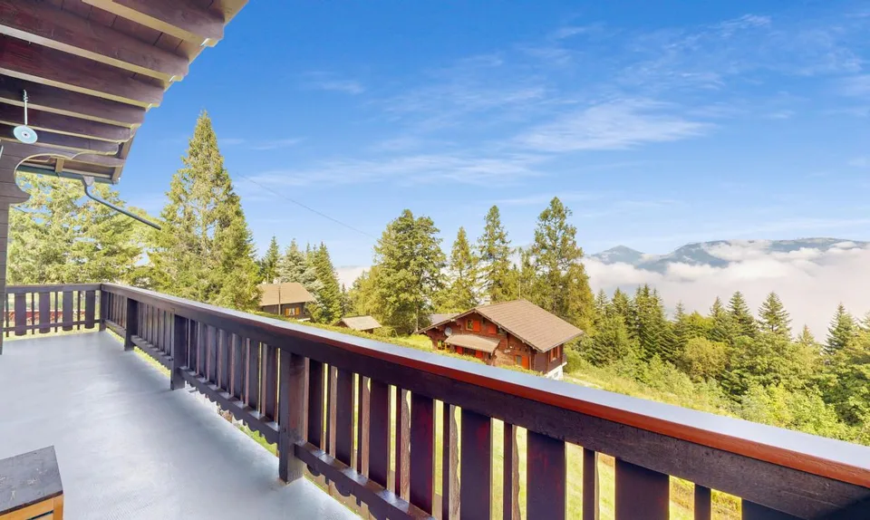 Magnificent renovated chalet with studio - Sale to foreigners possible