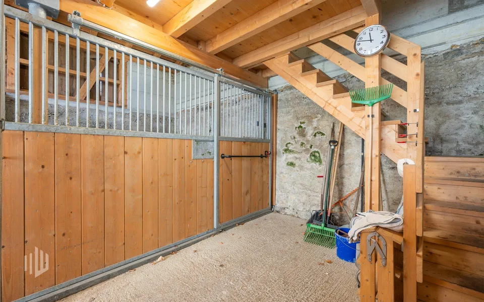 ImmoWyss - Rêve de maison avec charme et appartement indépendant polyvalent – photo 9 sur 13