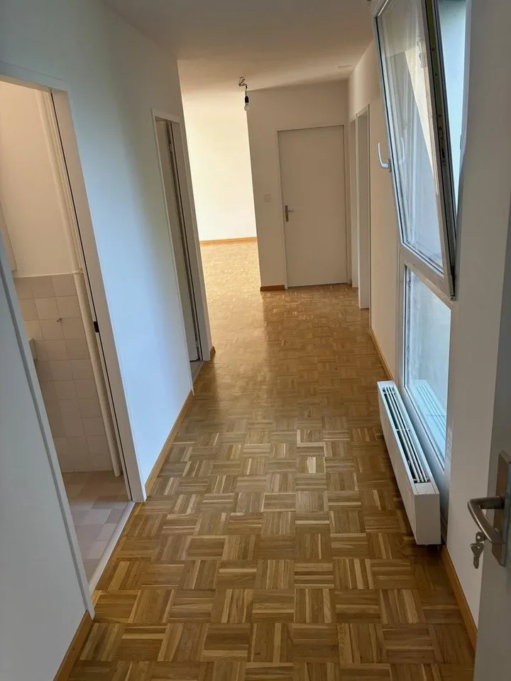 Neu sanierte Wohnung an vorteilhafter Lage