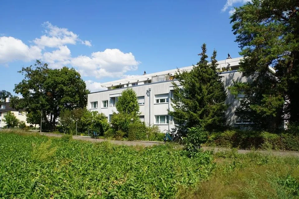 Teilsanierte Attika-Wohnung mit Sicht ins Grüne