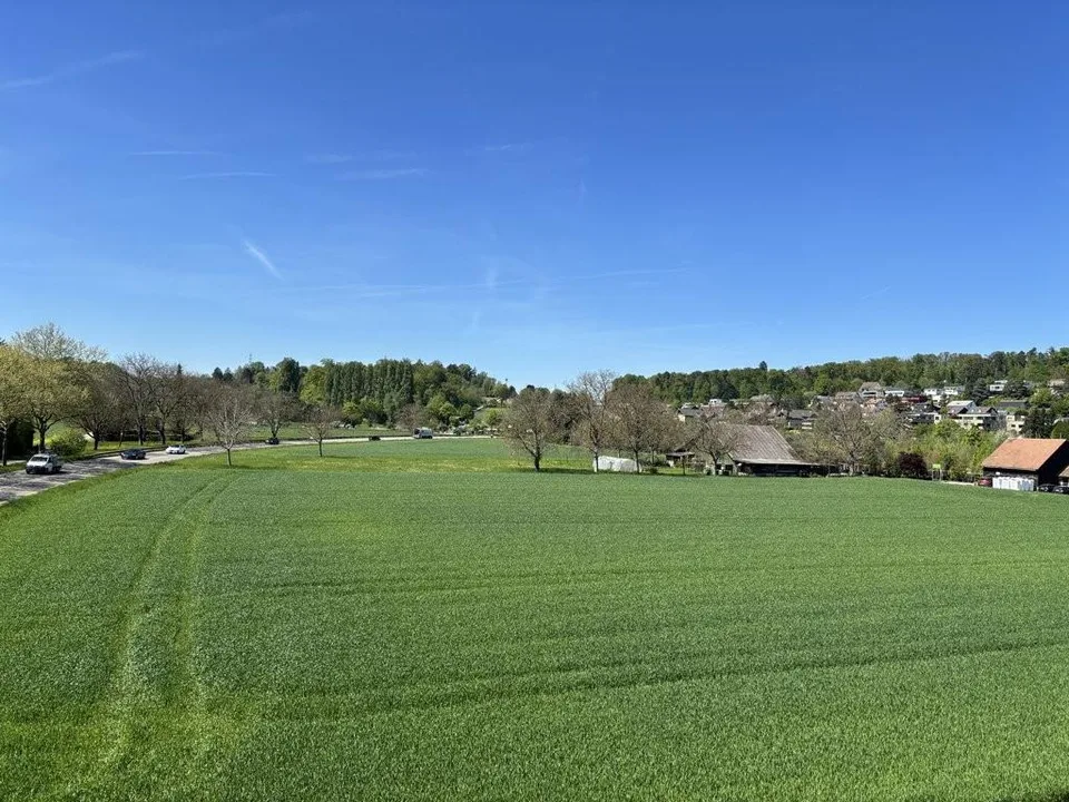 Appartamento in mansarda parzialmente ristrutturato con vista sul verde