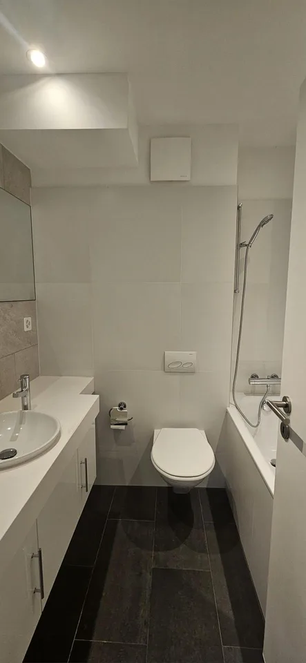Incantevole appartamento maisonnette 3,5 locali a Zurigo