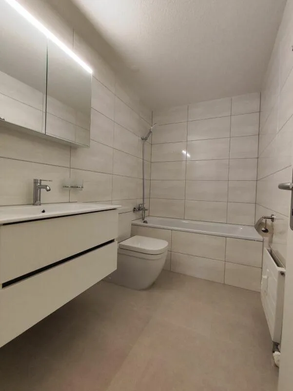 Lausen / 4.5 Room Apartment No. 7