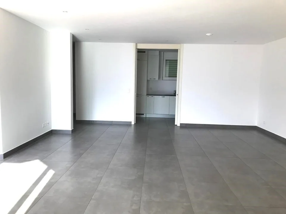 Dachgeschoss 3.5 Zimmer mit herrlicher Terrasse und Seeblick