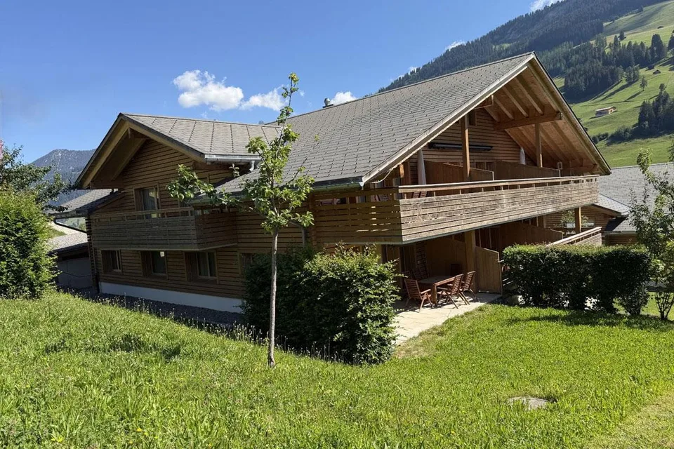 3.5 Zimmer Ferienwohnung mit Bergblick