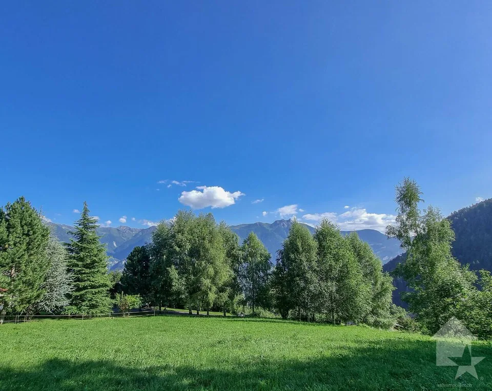 Chalet di 5,5 locali sul piano, calmo, soleggiato, bella vista