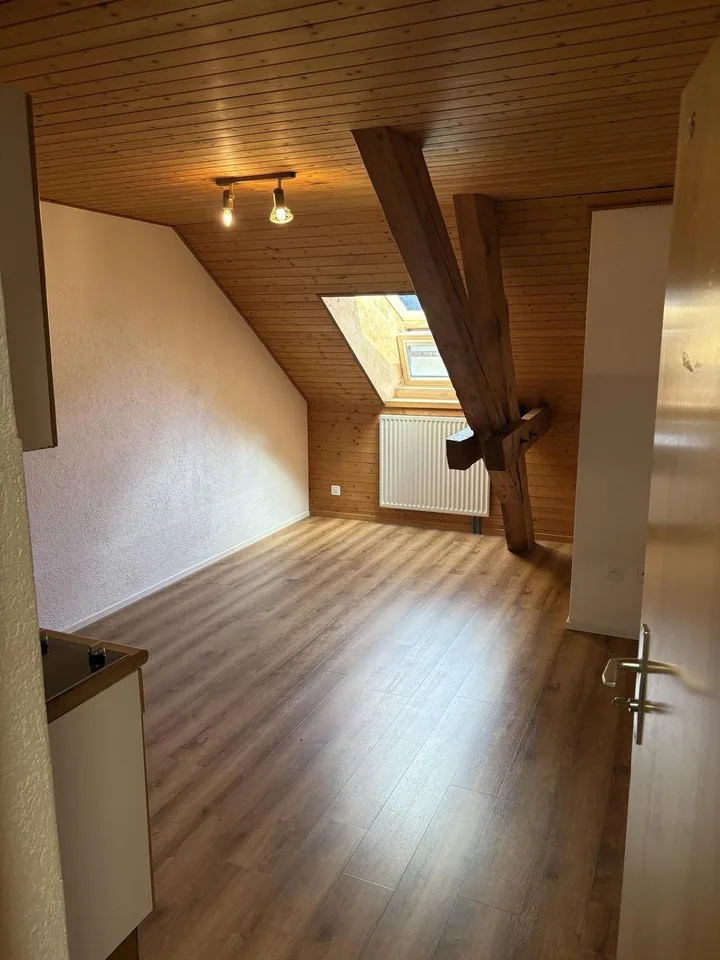 Spacieuse chambre avec cuisine - en plein centre !
