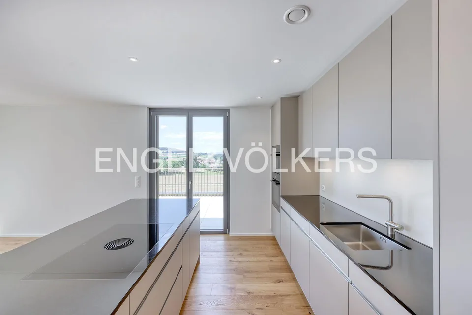 Premier contrat de location : Maisonnette en attique exclusive avec grande terrasse panoramique