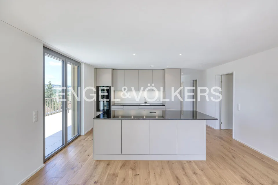 Premier contrat de location : Maisonnette en attique exclusive avec grande terrasse panoramique
