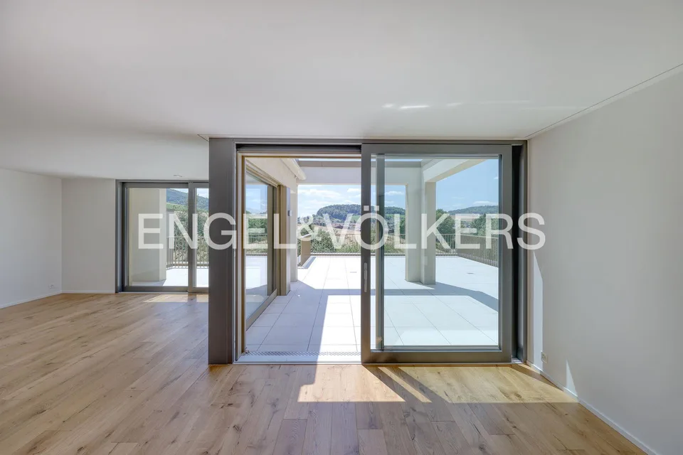 Premier contrat de location : Maisonnette en attique exclusive avec grande terrasse panoramique